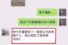 丹阳丹阳的要账公司在催收过程中的策略和技巧有哪些？